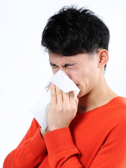 花粉症　杉花粉　ちがさき整体クリィニク